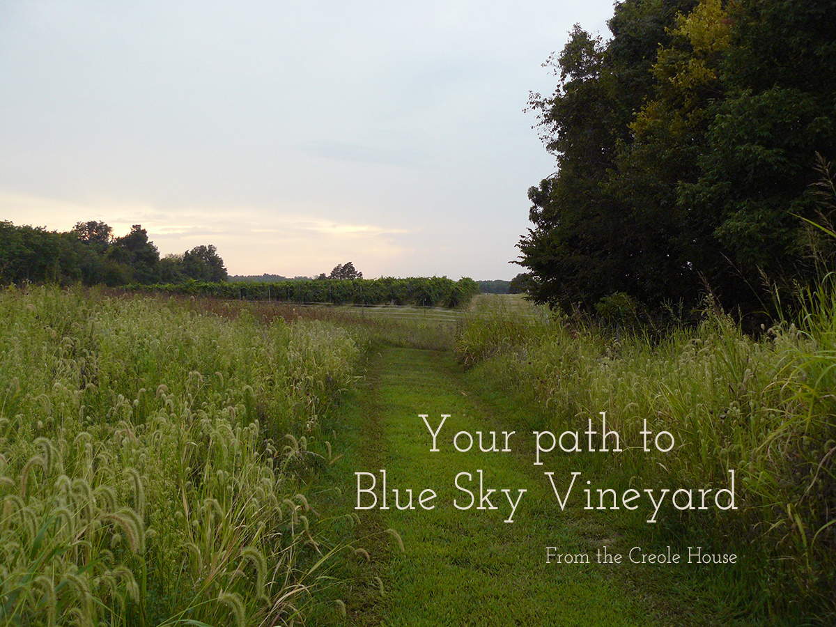 Path from Creole House to Blue Sky Vineyard
